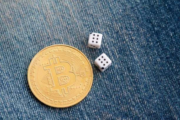 pakutogel Crash: The Multiplier Game That Moves